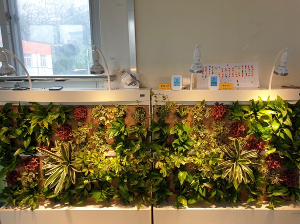 공기정화용 식물정화벽