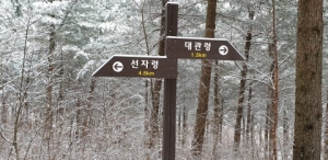워크앤런, ‘어게인 평창’ 눈꽃 트레킹 행사 연속 주최