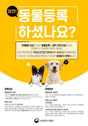 홍성군, 8월까지 반려동물 자진신고 기간 운영