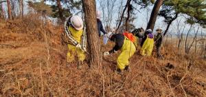 아산시, 소나무재선충병 청정지역 유지에 총력