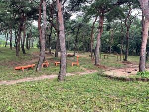 홍성군, ESG기초 산림을 통해 미래세대 교육한다!!