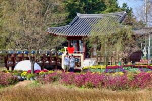 ‘꽃과 바다 태안 국화축제’ 10일 간의 여정 성황리 마무리