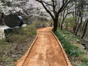 【포토】보령시‘옥마산 산책로 황톳길 정비’맨발 산책로 새단장